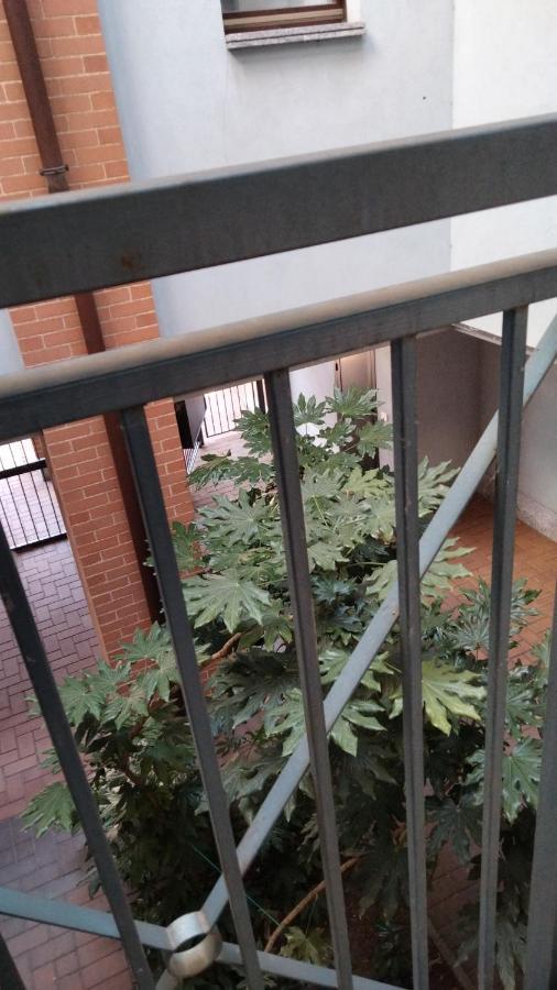 Ama Cityhouse 诺瓦拉 外观 照片